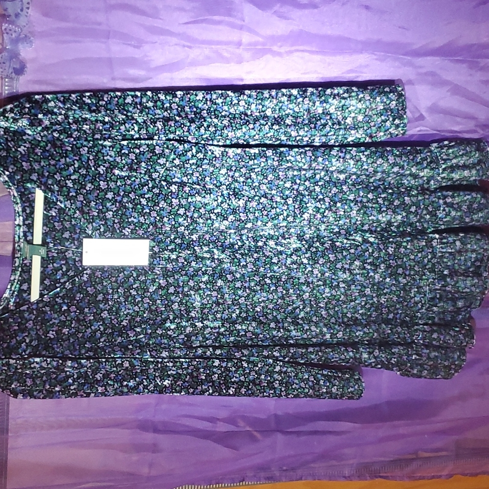 Womans size M wild fable floral velvety dress.
